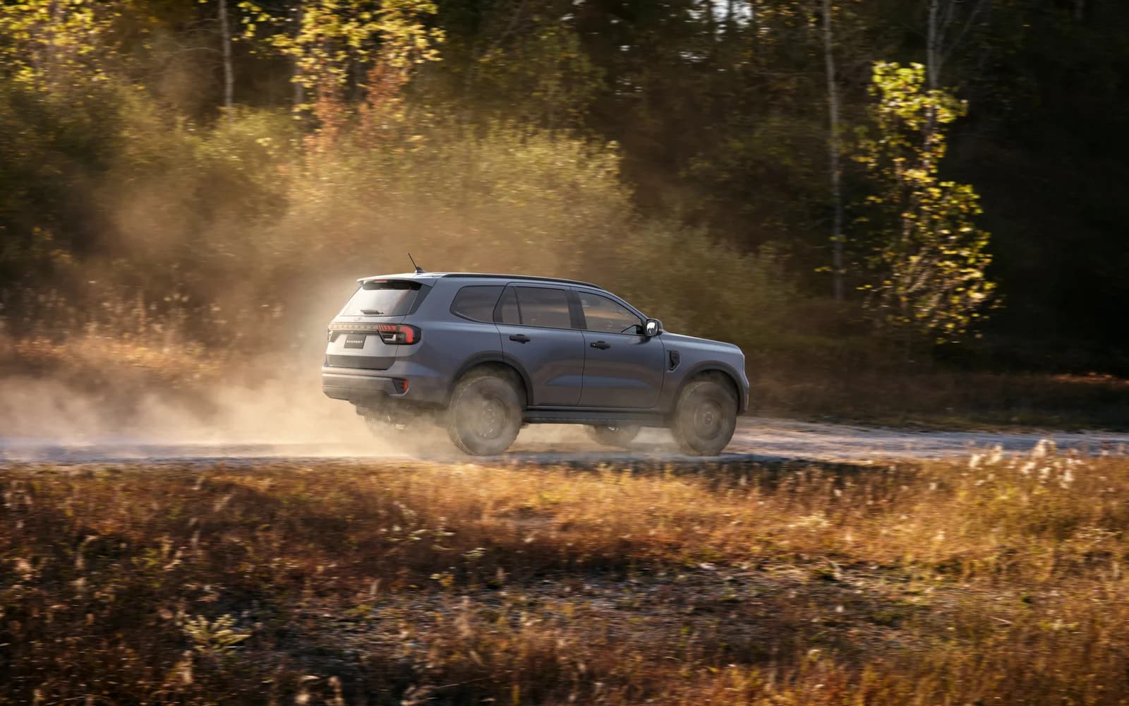 Ford Everest 3rd gen Ambiente/Trend/Sport/Titanium/Platinum 4WD — 2022–
