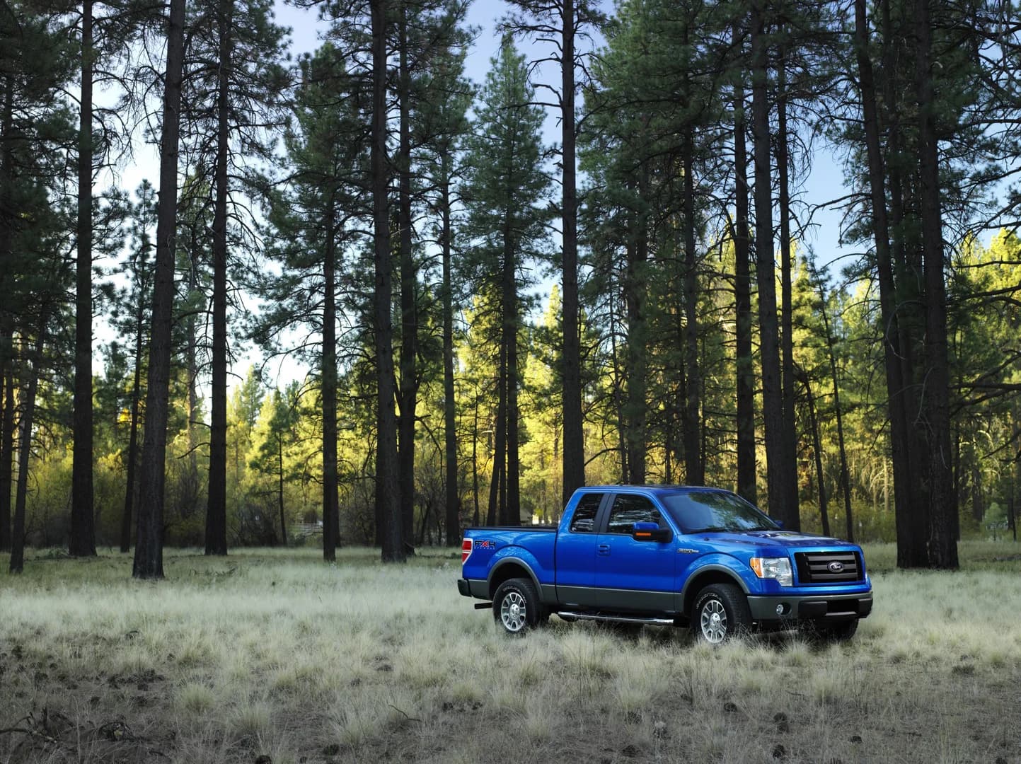 Ford F-150 12th gen XL/XLT/Lariat/Raptor 4x4 — 2009–2014