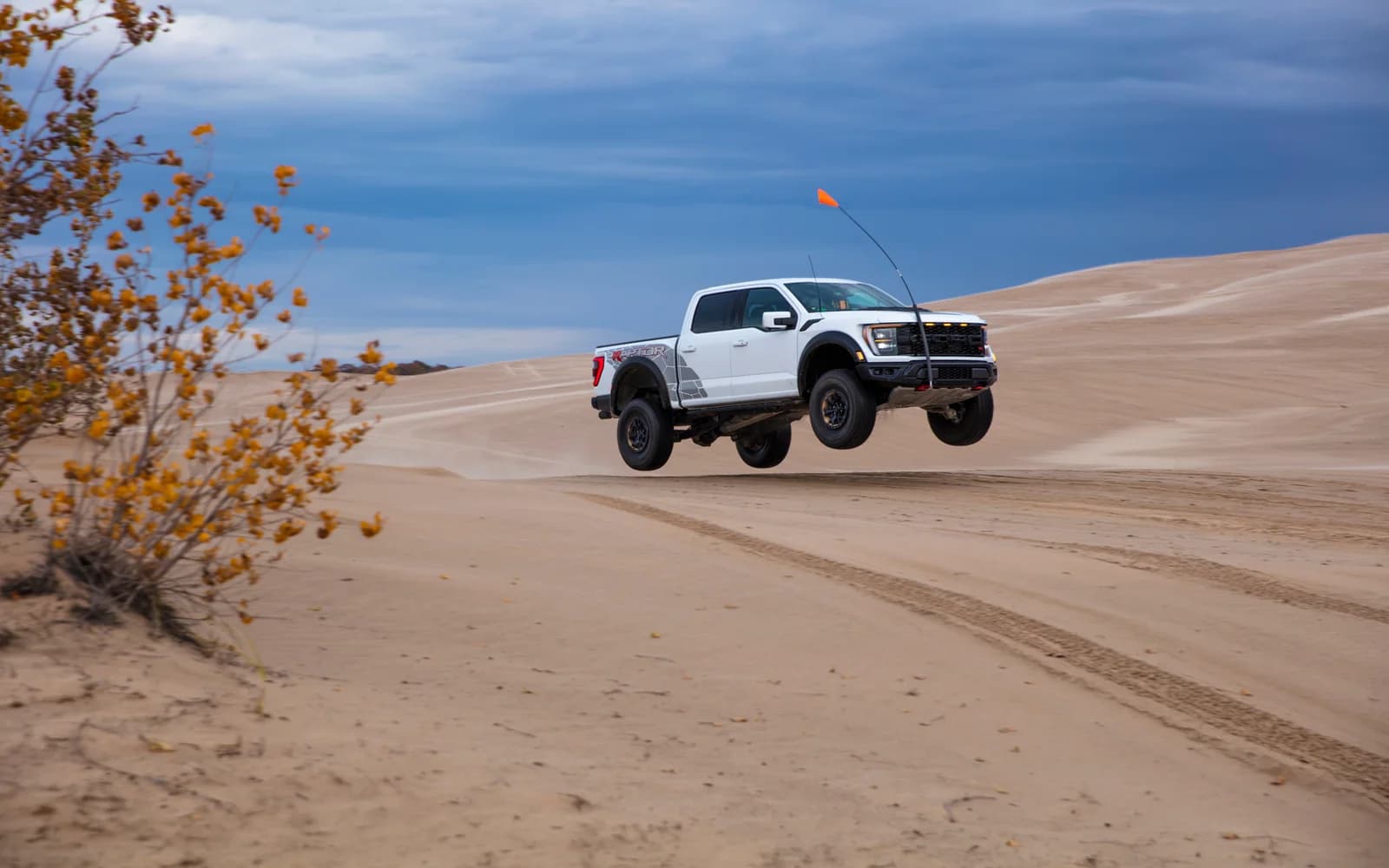 Ford F-150 14th gen Raptor — 2021–