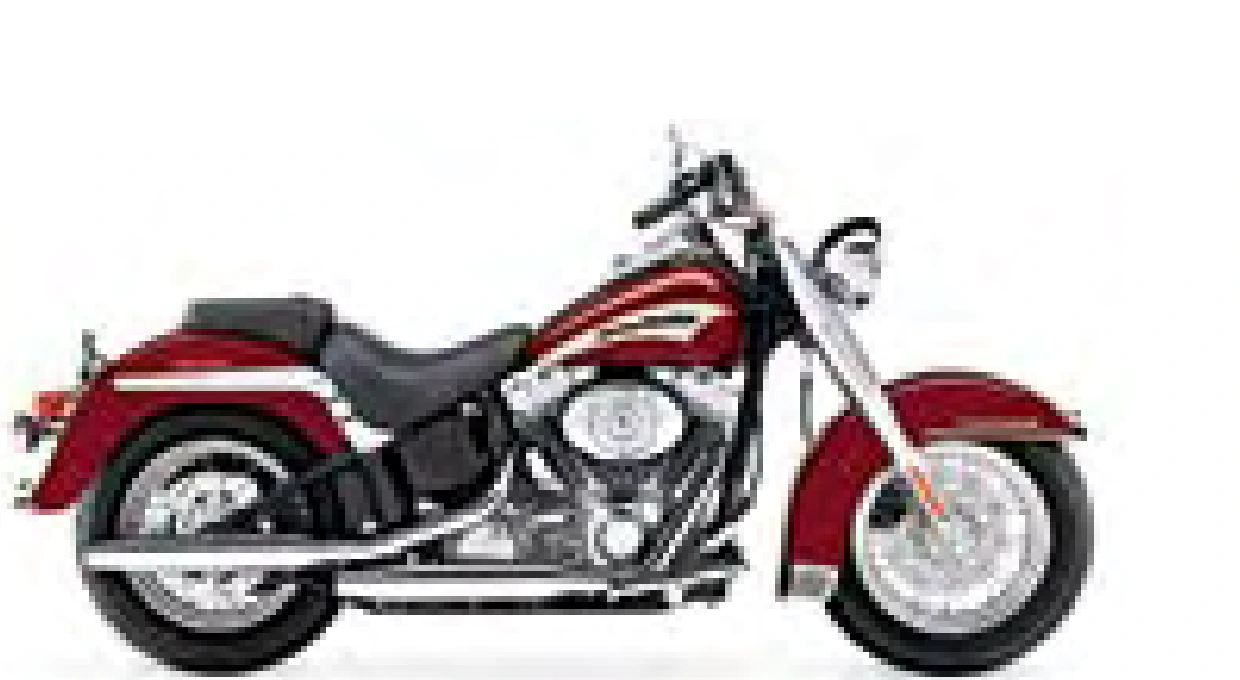 Harley-Davidson Heritage Softail EFI — EFI — 2006
